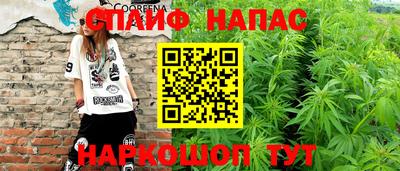 прущие грибы Донской