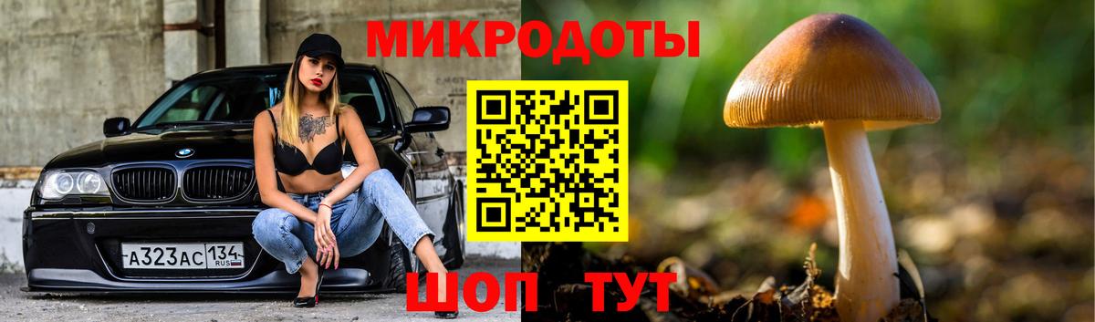Куйбышев  Псилоцибиновые грибы GOLDEN TEACHER  Галлюциногенные грибы прущие грибы  Вход с VPN 